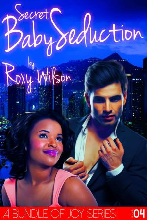 [A Bundle of Joy 04] • Secret Baby Seduction